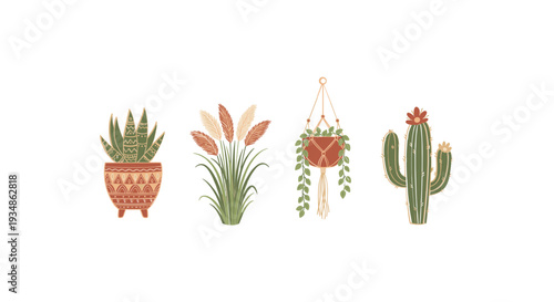Collection of Various Potted Cactus Plants.