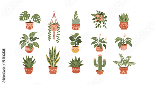 Collection of Various Potted Plants and Cacti.