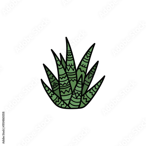 Green Succulent Plant with Thick Leaves.