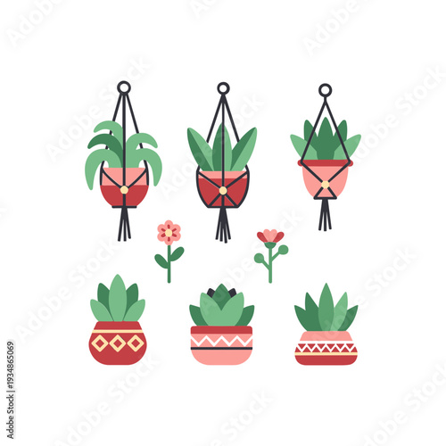 Colorful Potted Plants Hanging Baskets Decor.