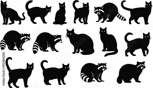 Black Cat and Raccoon Silhouette Set Halloween Animal Vector Collection Isolated on White Background