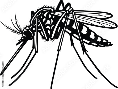 Mosquito Insect Silhouette Detailed Vector Illustration Flying Pest Isolated on White Background