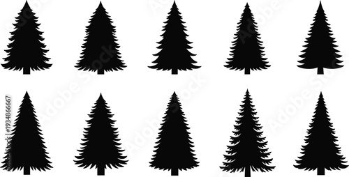 Pine Tree Silhouette Set Evergreen Forest Fir Spruce Black Vector Collection Isolated