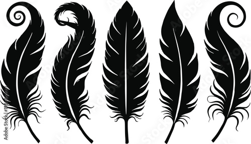 Set of elegant black feather silhouettes with swirling ornate designs, isolated vector illustrations of bird plumes in various stylish shapes for decorative projects.