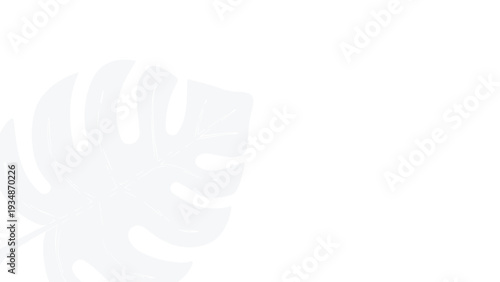 Monstera leaf shadow projected on a clean white background, creating a minimalist and airy aesthetic for versatile design applications