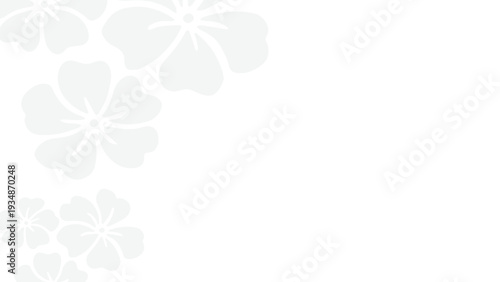 Serene floral arrangement of cherry blossoms on white background from an aerial viewpoint showcasing delicate petals and soft hues