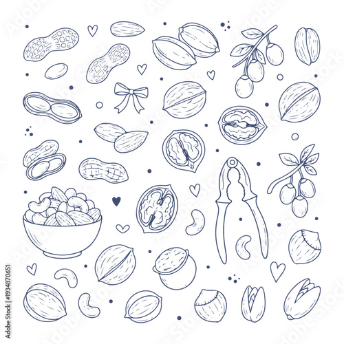 nuts doodle set vector icon
Vector doodle set on a white background