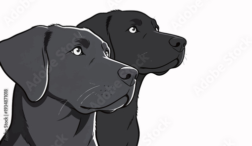 Two black dogs stand next to each other, looking ahead, as if they are waiting for their owners to return at any moment.