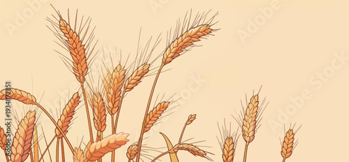 Wheat plants stand tall under sunlight in a field, showing grains ready for harvest. The scene captures nature's bounty in a simple setting.