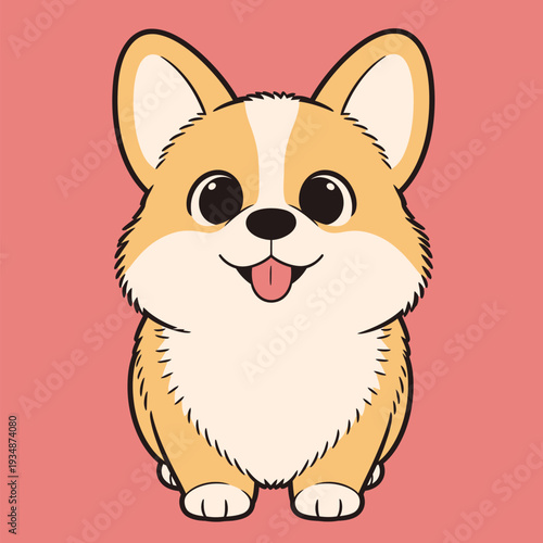 A corgi puppy sits and looks happy with its tongue sticking out. The background is bright pink. The puppy has fluffy fur and big eyes.