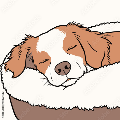 A dog lies asleep in a soft bed, resting peacefully in a comfortable indoor area during the afternoon.
