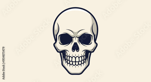 Detailed Illustration of Human Skull Anatomy.