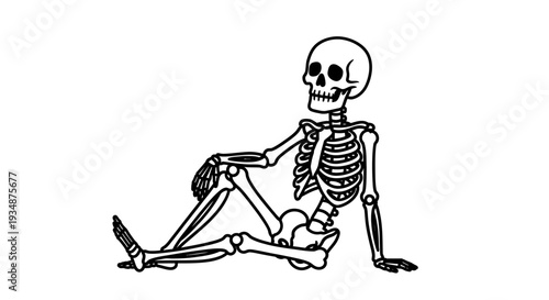 Skeleton Sitting on Floor with Skull Visible.