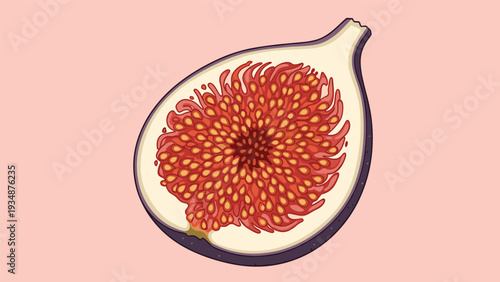 Cross section slice of a purple fig fruit showing the detailed red seeds and pulp on a soft pink background for culinary or diet concepts.