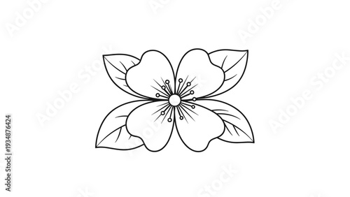 Simple black and white line drawing of a symmetrical flower with four petals and delicate stamens is suitable for coloring or design.