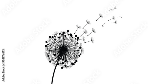 Silhouette of a dandelion flower with its seeds blowing away in the wind symbolizes wishes, change, and the passage of time.
