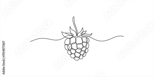 Minimalist continuous line drawing of a fresh raspberry with a horizontal line on white background