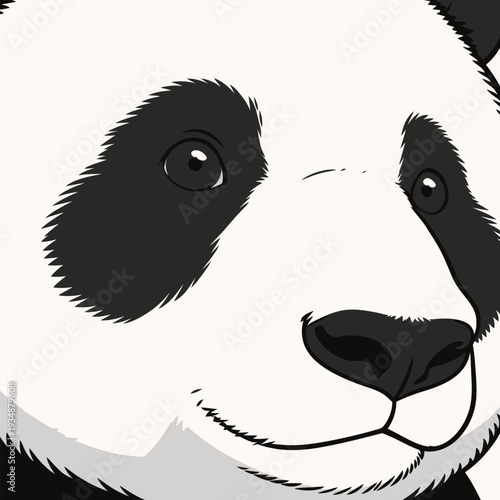 A panda looks directly at the viewer, highlighting its black and white fur. This scene captures the facial features of the animal.