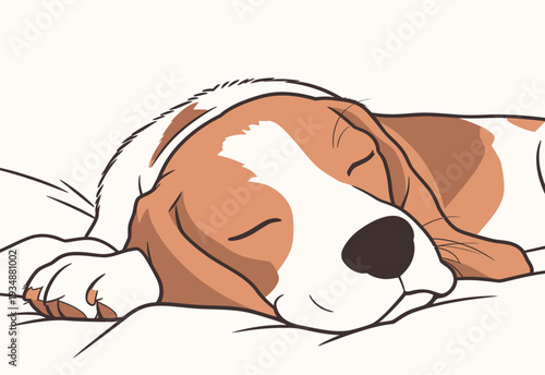 A beagle dog rests quietly on a soft bed. The dog has its eyes closed and looks relaxed as it sleeps soundly.