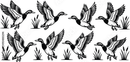Flying duck and goose silhouettes vector set with wild waterfowl birds illustration collection