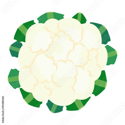 カリフラワーのベクターアイコン、葉物野菜のイラスト素材