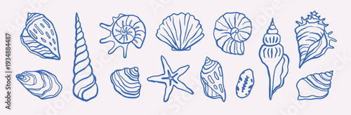 Vintage seashell ocean collection set. Hand drawn spiral, scallop, starfish and nautilus shells. Coastal summer print design vector illustration