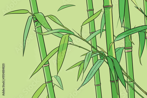 Bamboo plants stand upright with green stems and bright leaves under clear sky. The scene shows nature thriving in a simple way.