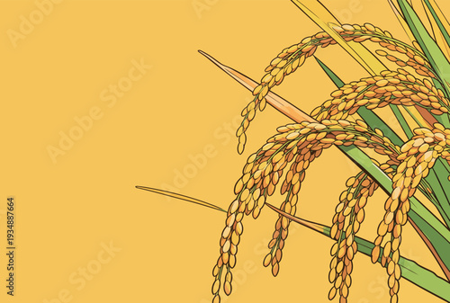 A close view of golden rice grains showing their ripe state against a bright background. This scene captures the harvest time in nature.