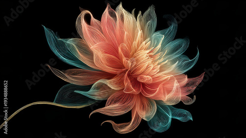 red and yellow flower
