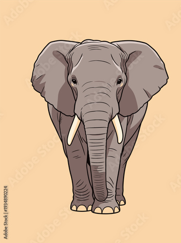 An elephant stands upright with its trunk down on a light background. The focus is on the animal's features and shape.