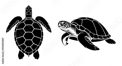 Silhouettes of two sea turtles swimming side by side in black against white background.