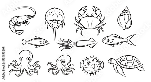 Hand-drawn collection of marine creatures including squid jellyfish crabs lobsters fish octopus and stars in silhouette illustrations.