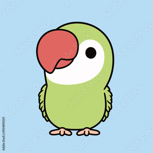 A small green bird with a large red beak and white face stands still. Its eyes are big and round as it faces the viewer against a blue background.