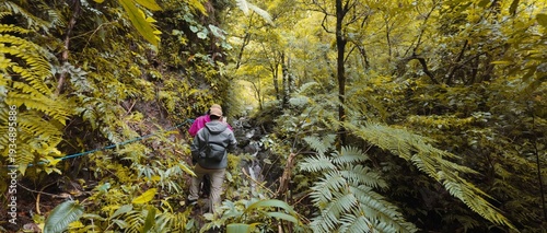 Back view of a hiker trekking through a dense tropical jungle trail surrounded by lush green forest.