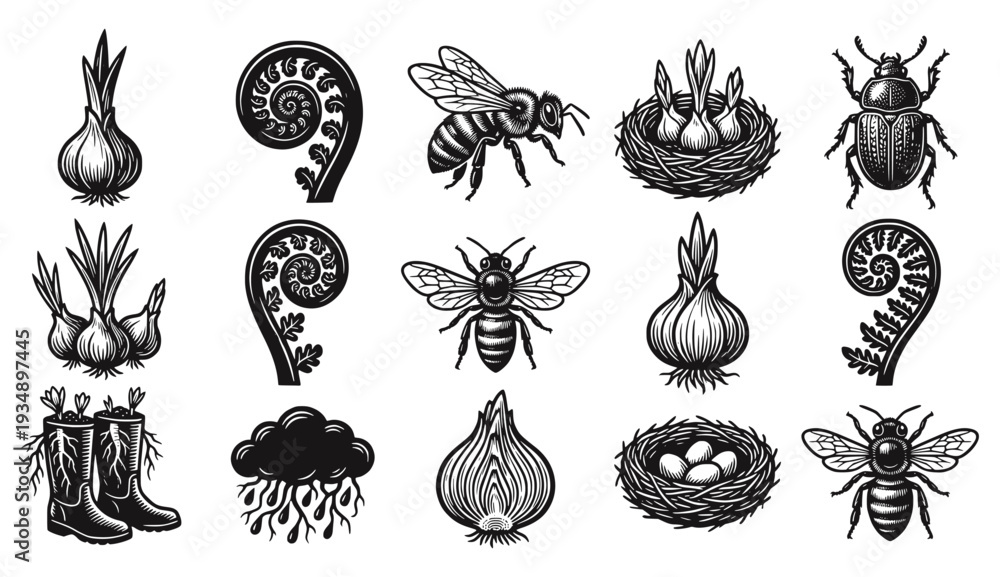 Naklejka premium Botanical linocut collection featuring bees, ferns, bulbs, and nests. Vintage scientific plate aesthetic for gardening, spring nature, and organic farming. Black and white woodcut icons.