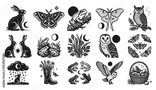 Celestial linocut collection of owls, hares, moths, and frogs with lunar phases. Mystical forest nature icons in a vintage woodcut aesthetic. Black and white occult botanical plate.