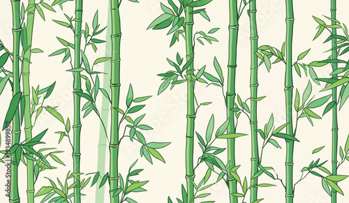 Bamboo plants stand tall in a garden. Green stalks rise from the ground with leaves reaching out in the sun.