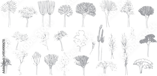 Collection of grey hand drawn trees on white background