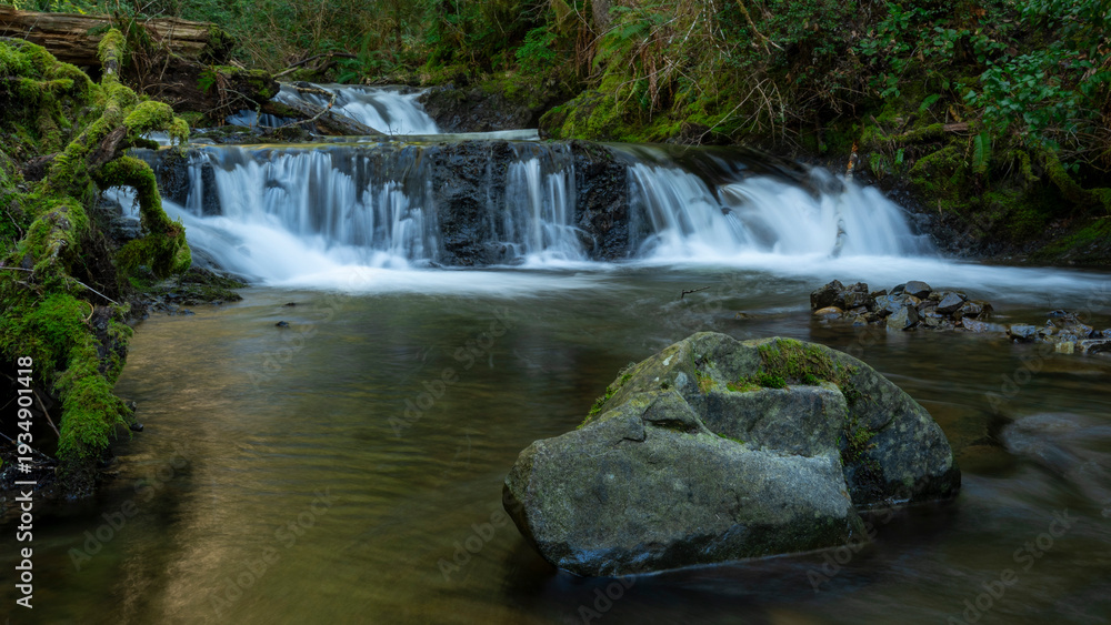Obraz premium Waterfall in Forest