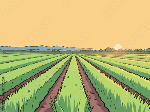 Rows of green crops stretch to the horizon under a setting sun in a rural area. Mountains are visible in the background.