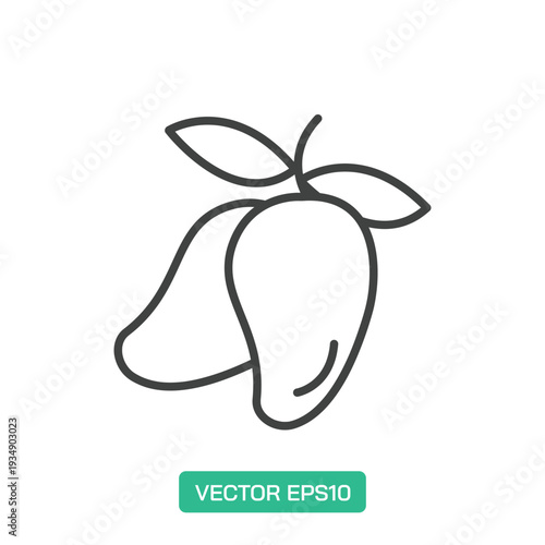 Mango icon. Thin line icon vector