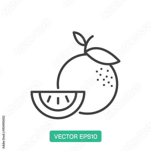 Orange icon. Thin line icon vector