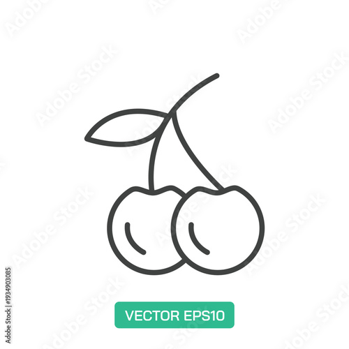 Cherry icon. Thin line icon vector