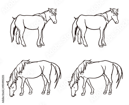 馬のぬりえセット