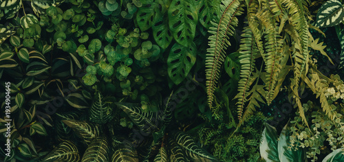 abstract green leaf texture, tropical leaf foliage nature dark green background