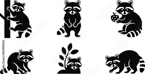 Black and white raccoons in various poses on white background 