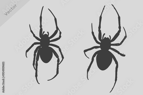 black silhouette spider vector illustration. Hanging Silhouette Spider Halloween Decoration Creepy Crawly Arachnid