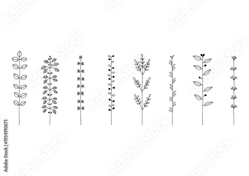 マメやカタバミ等の植物をイメージした手描きの線画イラストセット1（黒）