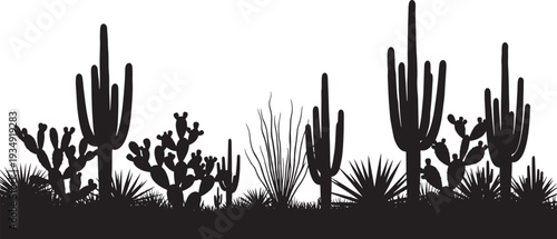 Arid Desert Landscape Silhouette with Various Cacti, Succulents, and Wild Plants in Black and White Vector Illustration