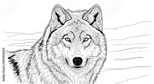 Detailed monochrome illustration of a wolf with intense gaze and textured fur